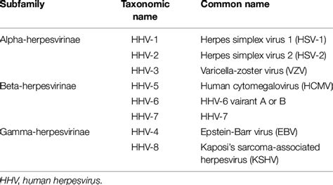 hermes virüsü|herpes viruses wikipedia.